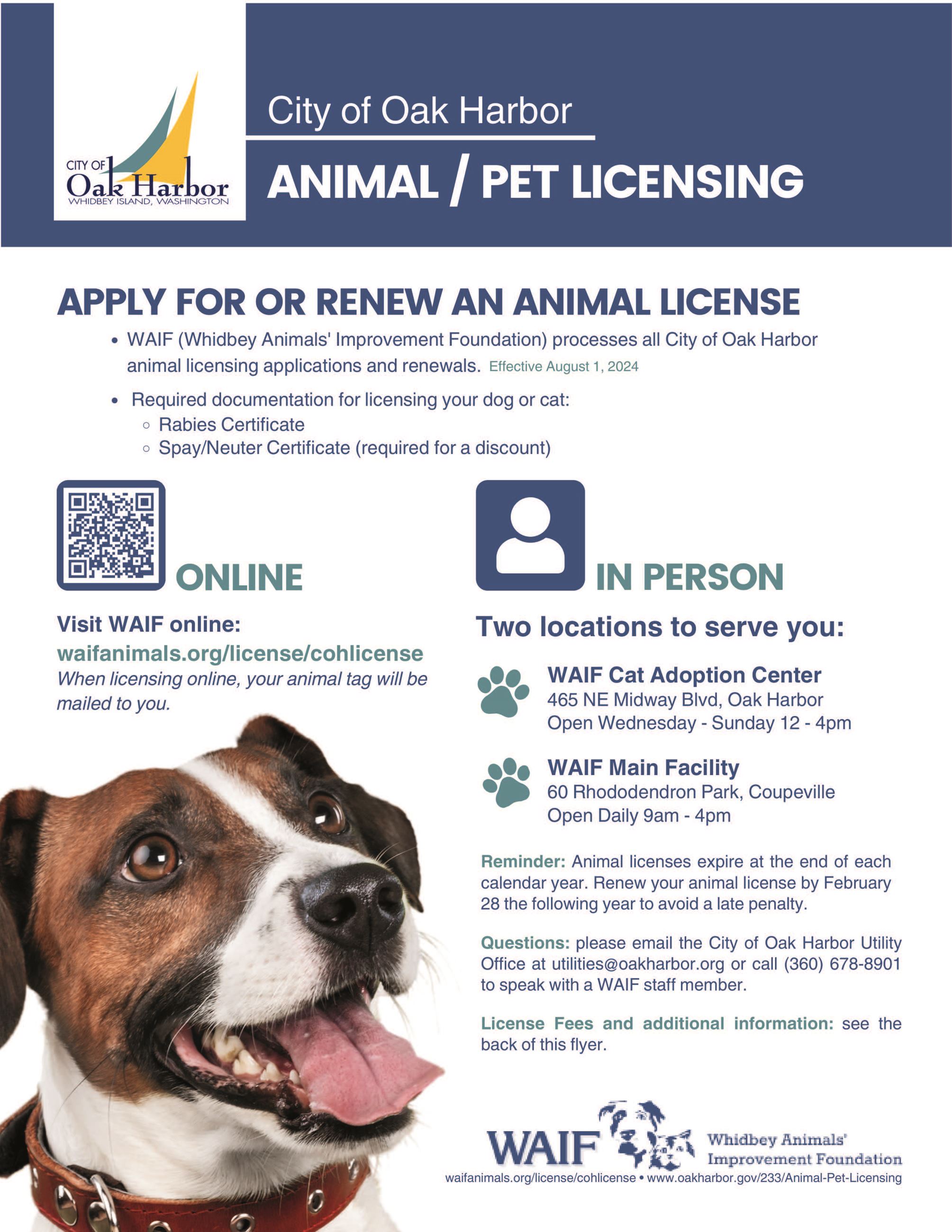 2024_WAIF_PetLicensing_Flyer_1Dog