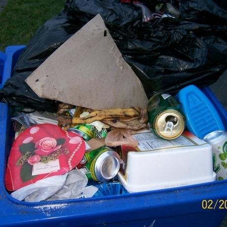 Banana in the Recycling Bin