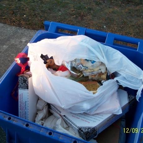 Contaminated Recycling Bin
