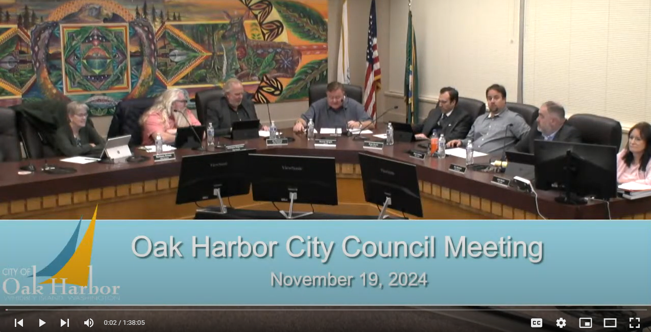 council Screenshot 2024-12-02 080220