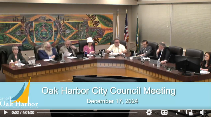 council Screenshot 2024-12-17