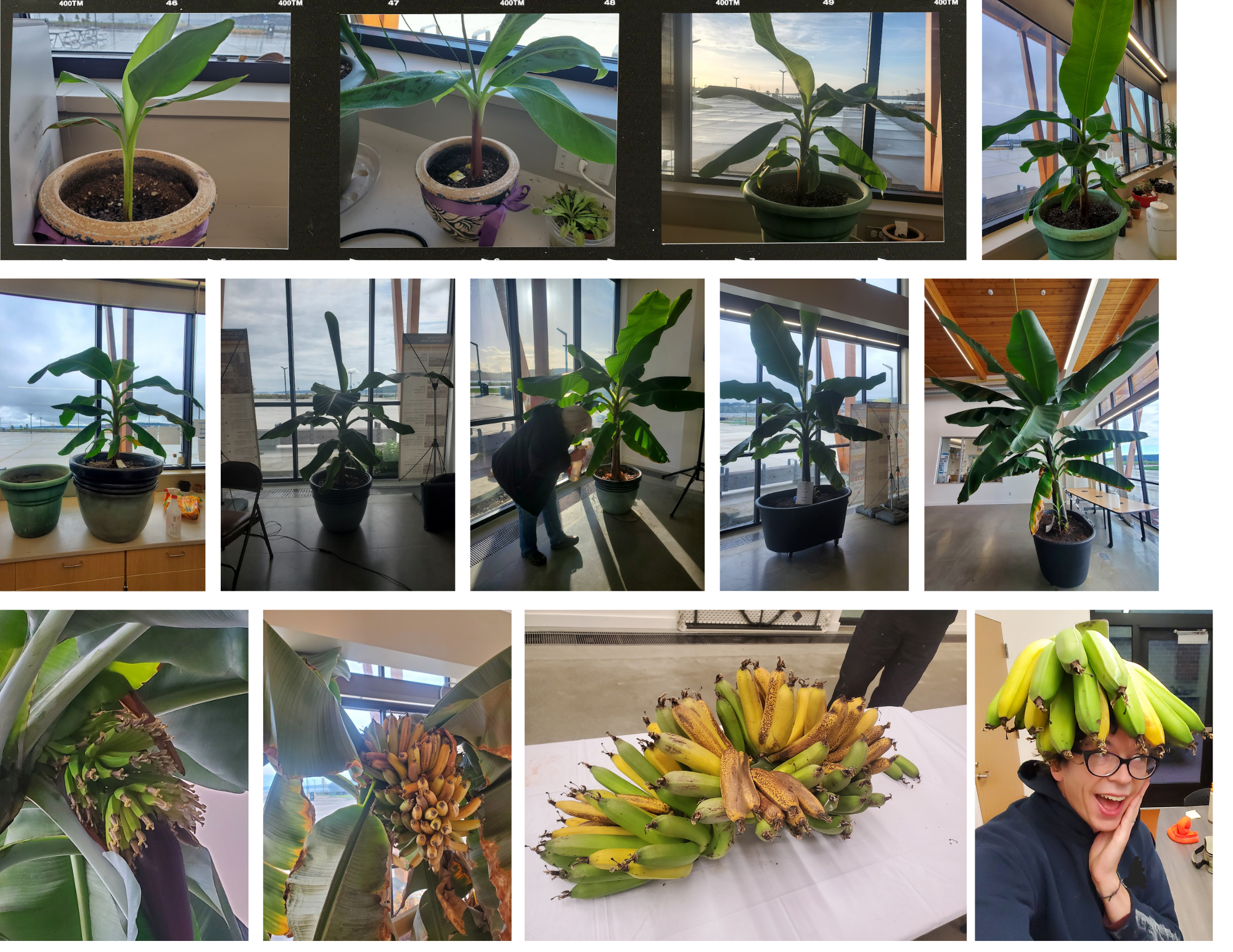 Untitled design (17)