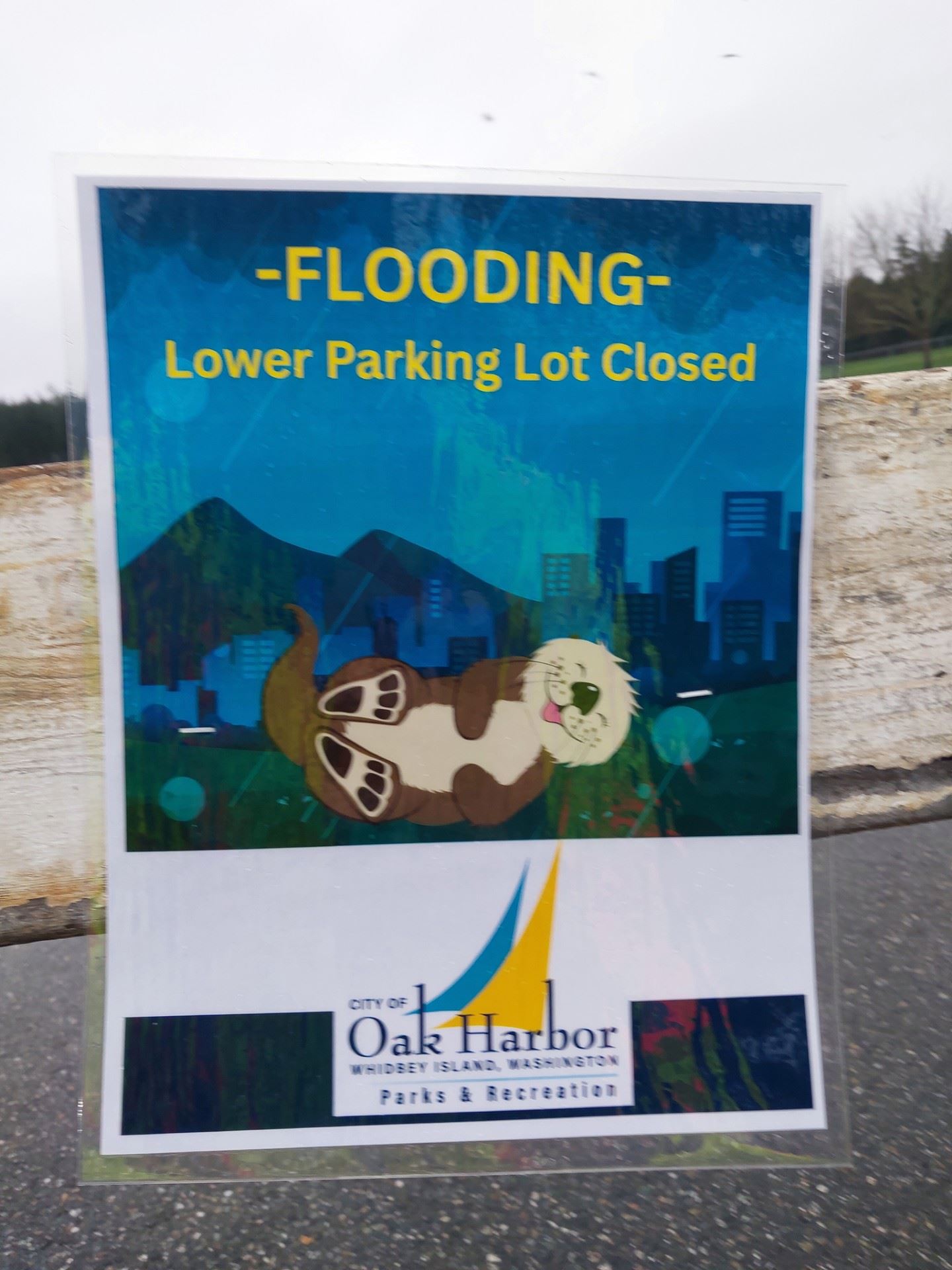 thumbnail_20251210_151112