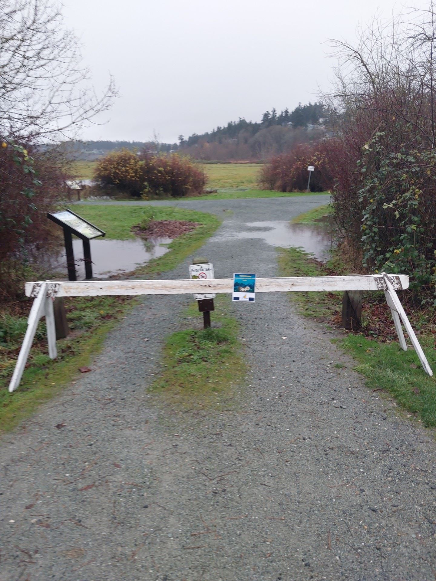 thumbnail_20251210_151905